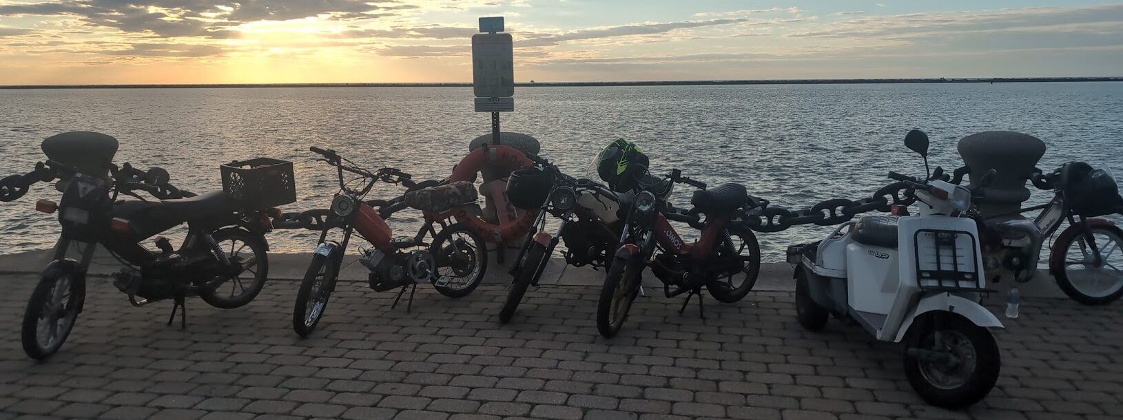 2000-2003 Tomos Turn Signal Housing